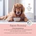 Annimally Zec McWeg Powder for Dogs - 400g Natural Supplement with Black Cumin Oil Cistroid Herb Brewers Yeast & Sea Algae - Effective Alternative to Tablets & Drops - Buy Online on GoSupps.com