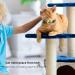 Kolacen Reflecting Airtag Cat Collar - Adjustable Neck Band with Safety Buckle for Puppies & Kittens - Airtag Shell & Bell Included (Yellow) - Buy Online on GoSupps.com