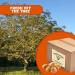 Fresh Hartley Walnuts - Low-Carb High-Protein Keto Friendly Snack | 10 lbs. Box by Presto Sales - Buy Online on GoSupps.com