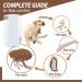 Flea Detection Kit Pet Flea Ticks And Lice Detection Kit With 3 Combs 4 Test Papers And Instructions Fine Teeth Combs For Grooming Hair Dandruff Kittens Dogs Cats Pet Supplies (Pack Of 1 Kit) - Buy Online on GoSupps.com