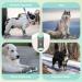 Eyein Dog Shoes - Breathable Paw Protection with Non-Slip Sole & Reflective Velcro | Sizes for Small to Large Dogs | 2 Pieces Green (Size 7) - Buy Online on GoSupps.com