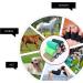 Self Adhesive Bandage Tape - Cohesive Medical Wrap for Athletes & Pets | 1 Inch x 5 Yards | 12 Count - Dark Skin Option - Buy Online on GoSupps.com