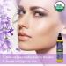 US Organic Lavender Body Oil - 5 Fl.oz. - Certified Organic with Jojoba, Rosehip Oil, Vitamin E - No Alcohol, Paraben, Artificial Detergents - Natural Scent - Buy Online on GoSupps.com