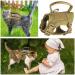 Tactical Cat Dishes & Safe Cat Vests | Adjustable Pet Tableware for Large Cats & Small Dogs - Black with Leash - Buy Online on GoSupps.com