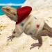 Bearded Dragon Clothes - Cotton Lizard Warm Coat Hoodies Jacket Reptile Clothes for Lizard Bearded Dragon Crested Chameleon Beige - Buy Online on GoSupps.com