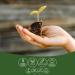 St. Francis Herb Farm Fenugreek-Blessed Thistle Capsules | Lactation Supplement | Women s Herbal Supplements | Improvement of Women s Health | 60 Vegicaps - Buy Online on GoSupps.com