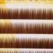 Buy Mixed Dark Brown False Eyebrow Extensions | Individual Eyebrow Enhancer 5-8mm - Shop Internationally - Buy Online on GoSupps.com
