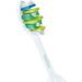 Philips HX9002/07 Sonicare Standard Toothbrush Heads - Pack of 2 - Buy Online on GoSupps.com