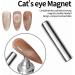 15ML Nude Magnetic Cat Eye Gel Nail Polish - Soak off Holographic Polish for Nail Art DIY - Buy Online on GoSupps.com