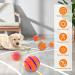 Shop Interactive Self-Strolling Dog Toy Ball - Wicked Ball with Remote Control | Intelligent Automatic Dog Toy for All Breeds - Buy Online on GoSupps.com