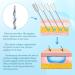 Minovd PDO Thread for Facelift | PDO Screw Thread 27G 60mm | V-Lift - 40pcs for Optimal Skin Tightening - Buy Online on GoSupps.com