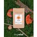 Myvial Bio Reishi Capsules - 120 Vegan Capsules (60-Day Supply) | 400mg Reishi Mushroom | Eco-Friendly Plastic-Free Packaging | Ganoderma Lucidum - Buy Online on GoSupps.com