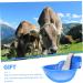 Yardenfun Stainless Sink Farm Feeding Water Bowl Livestock Drinking Bowl Drinking Fountain Tool Large - Buy Online on GoSupps.com