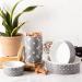 Bone Dry Ceramic Pet Collection Gray Canister - Stylish and Functional Pet Food Storage - Buy Online on GoSupps.com