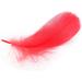 HaiMay 450 Pcs 3-5 Colorful Craft Feathers for Wedding, Home & Party Decor - 10 Colors - Buy Online on GoSupps.com