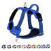 Eyin dog harness for small dogs adjustable breathable reflective padded and breathable breast dishes with handle and front bracket for daily training (light blue s) s (neck: 32-46cm breast: 35-63cm) light blue