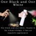 Basetousual 2 Spray Bottle - Continuous Ultra Fine Water Spray for Hairdressers (300ml Black & White) - Perfect Hair Mist for Styling & Hydration - Buy Online on GoSupps.com