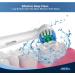 16 Precision Clean Toothbrush Heads for Oral-B - Family Pack Fits Mailbox | Quality Dental Care - Buy Online on GoSupps.com