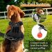 Etaccu No-Pull Dog Harness - Adjustable Breathable Reflective Safety Harness for Medium Dogs - Comfort & Control Black L - Buy Online on GoSupps.com