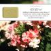 Pre de Provence Verbena Soap Bar 8.8 oz - Organic Shea Butter, Quad Milled, French Skincare - Buy Online on GoSupps.com