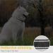 Heele Reflective Dog Collar - Soft Neoprene Padded Nylon for Small Medium Large Dogs - Adjustable Sky Blue (26-38cm) - Buy Online on GoSupps.com