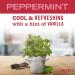 Mrs. Meyer's Limited Edition Peppermint Hand Soap 12.5 fl oz - Biodegradable Formula with Essential Oils - Buy Online on GoSupps.com