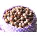 Buy Acorns 1.5kg Red Oak - Premium Natural Rodent Squirrel Food - 12.00 Euro/kg - International Shipping Available - Buy Online on GoSupps.com