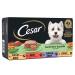CESAR Dog Meals - Pack of 24 150g trays - Dog Pate in Garden Terrine (4 varieties) - Wet Food for Dogs Made with Natural Ingredients