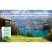 Bio-Safe Organics Peppermint Pinnacle Soap | 100% Handmade Natural Exfoliating Organic Soap Bar | Vegan & Moisturizing | 4 Oz - Buy Online on GoSupps.com