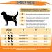 Buy Slowton Adjustable Dog Diapers for Bitches - Eco-Friendly Washable Incontinence & Runoff Solution - Black XL - Buy Online on GoSupps.com