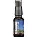 Buy WISHGARDEN Serious Cough Pump Top 0.66 FZ - Fast International Shipping for Effective Relief - Buy Online on GoSupps.com