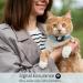 Apple AirTag Cat Neck Band Light Tracker for Kittens & Young Cats (9-13 inch) - Blue - International Shipping - Buy Online on GoSupps.com