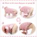 Breathable Post-Surgery Dog Body Suit - Hjumarayan XXL Pink Striped Castration Recovery for Small & Medium Dogs - Buy Online on GoSupps.com