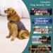 Yuehuam Dog Anxiety Relief Coat Dog Anxiety Calming Vest Jacket for Thunderstorm Breathable Dogs Shirts with Reflective Strip Puppy Anxiety Calming Vest Wrap Heather Grey S - Buy Online on GoSupps.com