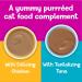 Purina Friskies Lil' Shakes Cat Food Topper Variety Pack - Chicken and Tuna - 18 Pouches - Buy Online on GoSupps.com