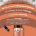 Nootropic Brain Focus Mushroom Supplement - Lions Mane & Reishi Immune Support Blend - 10X Mushroom Complex for Sugar Balance & Mental Clarity - Buy Online on GoSupps.com