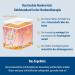 Evolsin Scar Ointment for Children & Adults - Effective Scar Reduction Cream (20g) - Minimize Scars Itching & Tissue Voltage - Buy Online on GoSupps.com