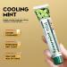 Mint toothpaste 100 g toothpaste with mint flavor and 3in1 protection for strong teeth clean teeth fresh oral care - Buy Online on GoSupps.com