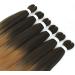 Pre-stretched Braiding Hair Easy Braid 6 Packs Professional Kanekalon Synthetic Fiber Crochet EZ Braids Yaki Texture Braiding Hair Extensions(1B/27/613 20 inch) 20 Inch (Pack of 6) T1B/27/613 - Buy Online on GoSupps.com