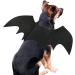 Rypet Dog Bat Costume - Halloween Pet Costume Bat Wings Cosplay Dog Costume Cat Costume for Party Large (Pack of 1) - Buy Online on GoSupps.com