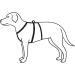 Trixie Stay Harness XS-S (30-40 cm) - Black | Premium Dog Harness for Comfortable & Safe Travel - Buy Online on GoSupps.com
