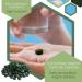 ERBOTECH Spirulina Tablets 100g Pack Approximately 400 Capsules 100% Pure and Vegan Seaweed Energy Source High in Protein Vitamins Magnesium Strengthens the Immune System - Buy Online on GoSupps.com