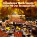 SNOWSEN Autumn Set of 6 Premium Fragrance Oils - Apple Spice Pumpkin Pie Pine Cinnamon Vanilla Snickerdoodle - Fragrance Oils for Diffuser Candle & Soap Making 6x10ML - Buy Online on GoSupps.com