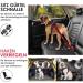 Eyin 3-in-1 Dog Seat Belt - Reflective Elastic Nylon Compatible with All Breeds & Car Seats 90cm Red - Safe Travel Solution - Buy Online on GoSupps.com