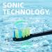 7AM2M Sonic Electric Toothbrush for Adults and Kids One Charge for 90 Days with 6 Brush Heads 5 Modes with 2 Minutes Build in Smart Timer Roman Column Handle Design (Black) Black No Travel Case - Buy Online on GoSupps.com