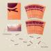 Buy Bird&Be Ovulation Test Strips - 40 LH Strips Over 99% Accurate - Fast International Shipping - Buy Online on GoSupps.com