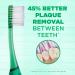 GUM 525PH Technique Deep Clean Toothbrush Compact Soft Bristles - Professional Samples (12 Count) - Buy Online on GoSupps.com