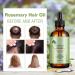  KOIROI Rosemary Oil for Hair and Scalp 60 ml Promotes Hair Growth Nourishes the Scalp Improves Blood Circulation - Buy Online on GoSupps.com