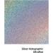 Hemway Silver Holographic Ultrafine Craft Glitter Shaker 130g - Arts, Crafts, Resin, Tumblers, Nails, Painting, Festival Decoration - Body & Cosmetic Grade - Buy Online on GoSupps.com