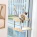 PEQULTI Double Layered Cat Window Perch Hammock - Window Mounted Cat Seat and Bed for Indoor Cats - Buy Online on GoSupps.com